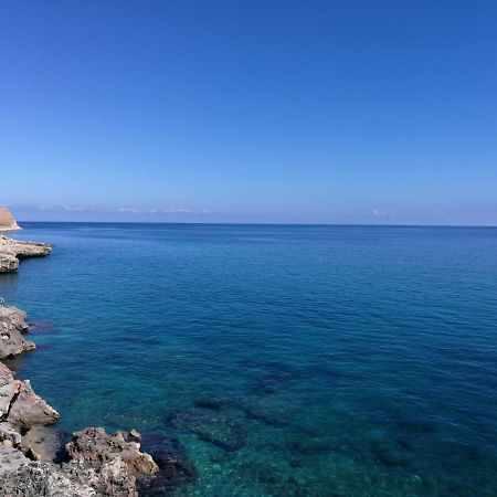Casa Vacanze Nadi 팔레르모 외부 사진